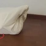小姐姐团缚