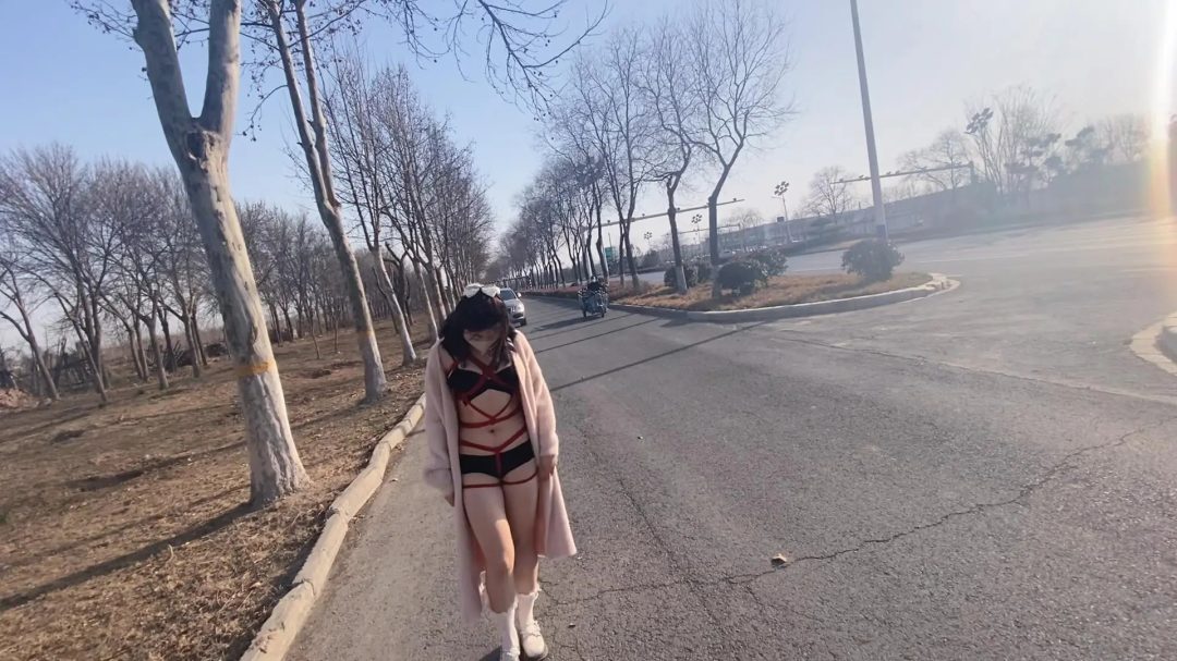身材很好的欢欢来工作室体验，期间不断挑逗男主，带到户外玩弄，羞辱不断，逛小公园，爬行，逛夜市买饭吗，被路人看到，最后露出跑回车上，男主才放过欢欢-3
