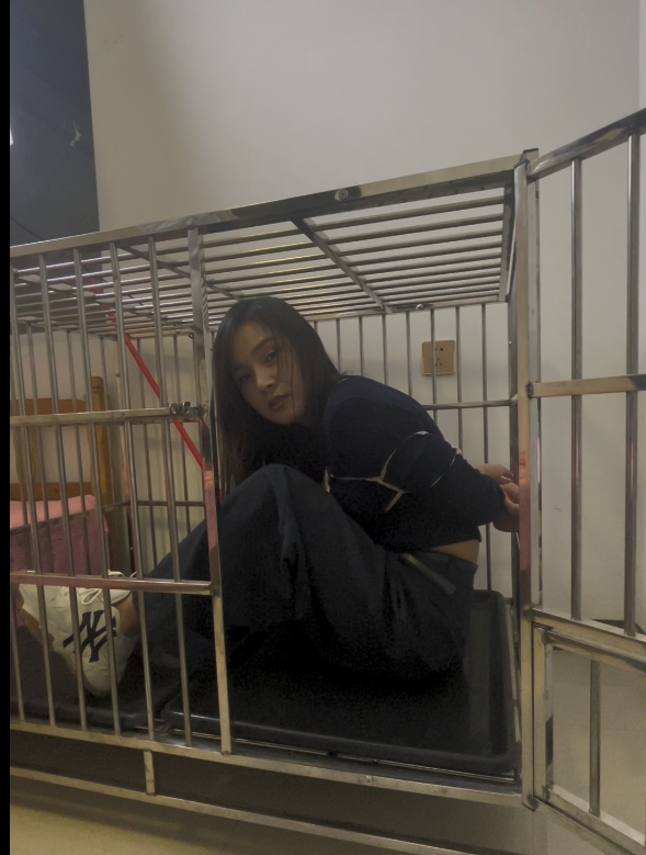 超美姐姐笼子捆绑下-3