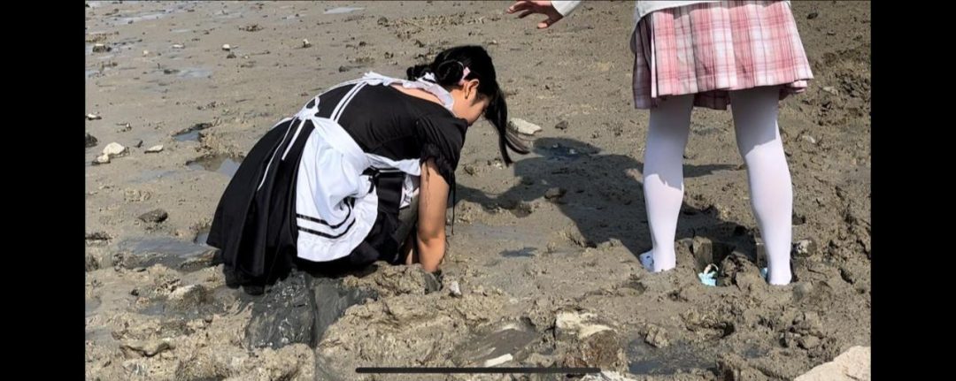 女仆装+jk 双人滩涂玩耍玩泥-6