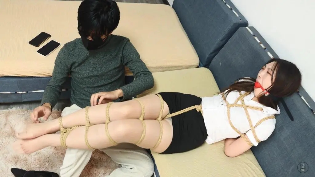 老板与秘书 全集发售 OL装 女仆装-2