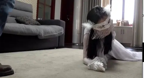 白羽女侠第二集-2