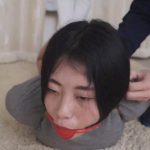 逍遥工作室经典回放 老片重温琪琪