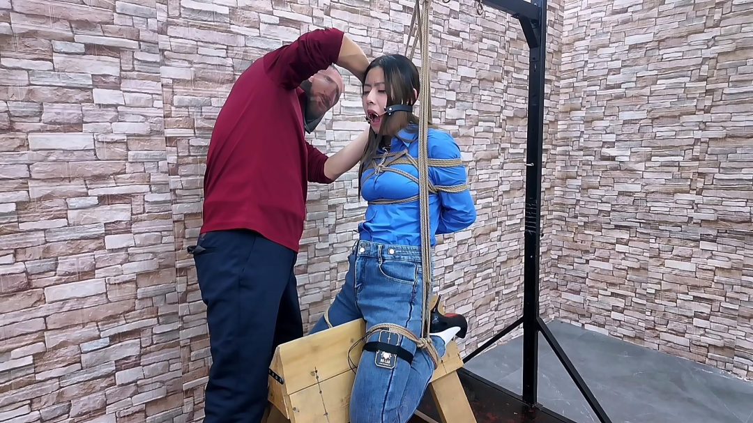 希希铁项圈乳夹夹乳,郊狼电击 放入下面挑战木马放置,经不起长时间折磨-3