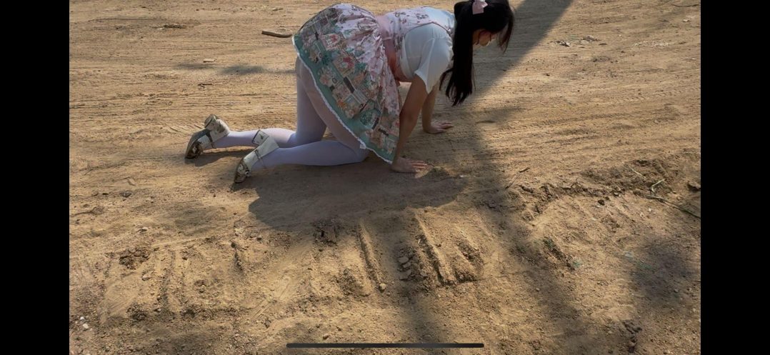 甜lo白丝萌妹乡村旱厕土坑调教-2