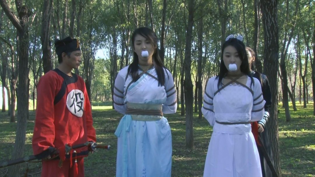 怀旧影苑定制古装剧《女神捕之江南烟云》完整版-1