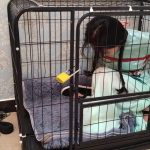 雅熙 跳舞的民国少女 笼中禁锢