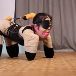 路由工作室：新模小月郊狼电控犬缚 工作室的黑科技升级了
