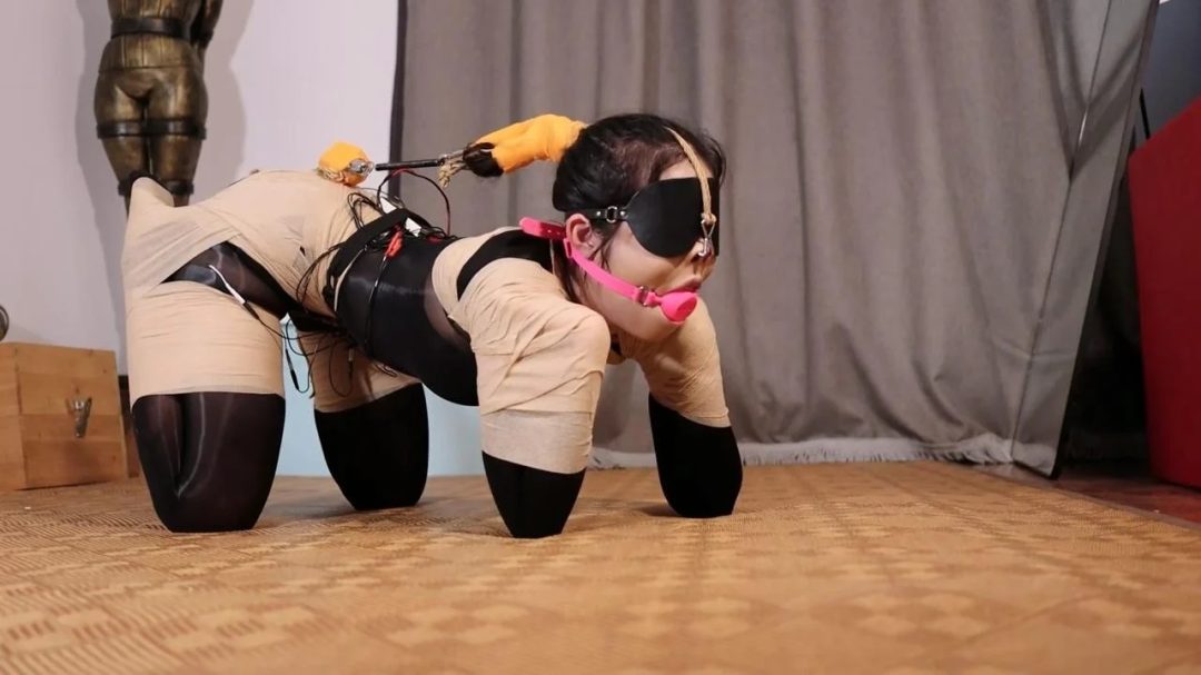 路由工作室：新模小月郊狼电控犬缚 工作室的黑科技升级了-1