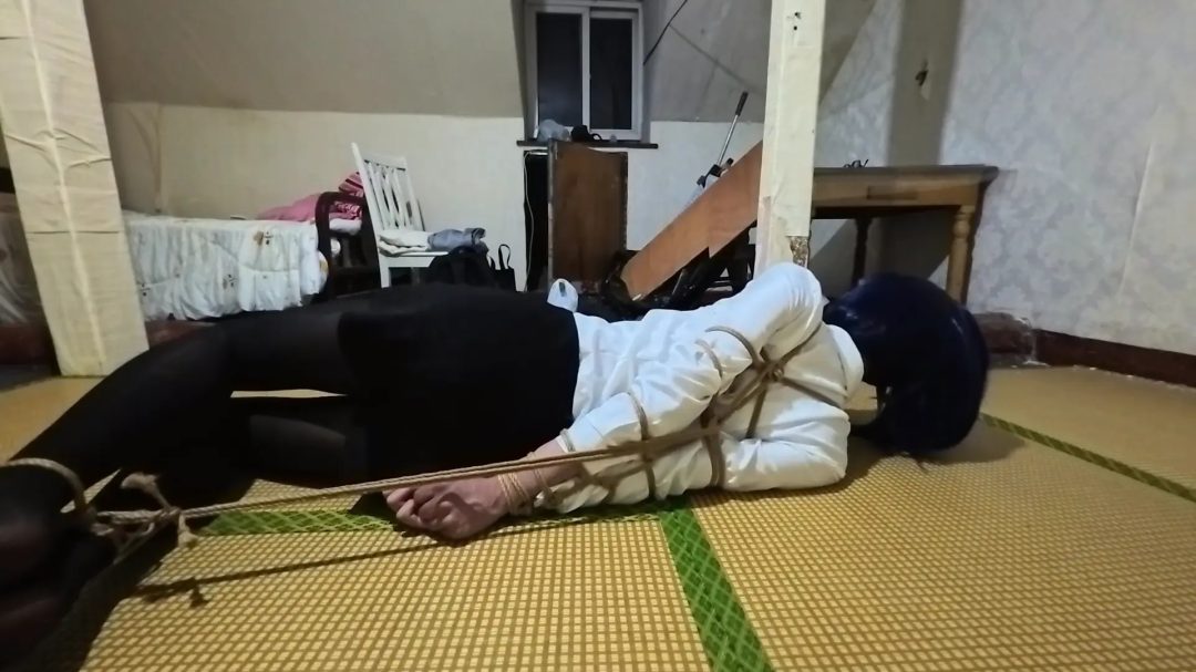 【路人】欧式直臂驷马可否在十分钟内挣脱束缚？-2