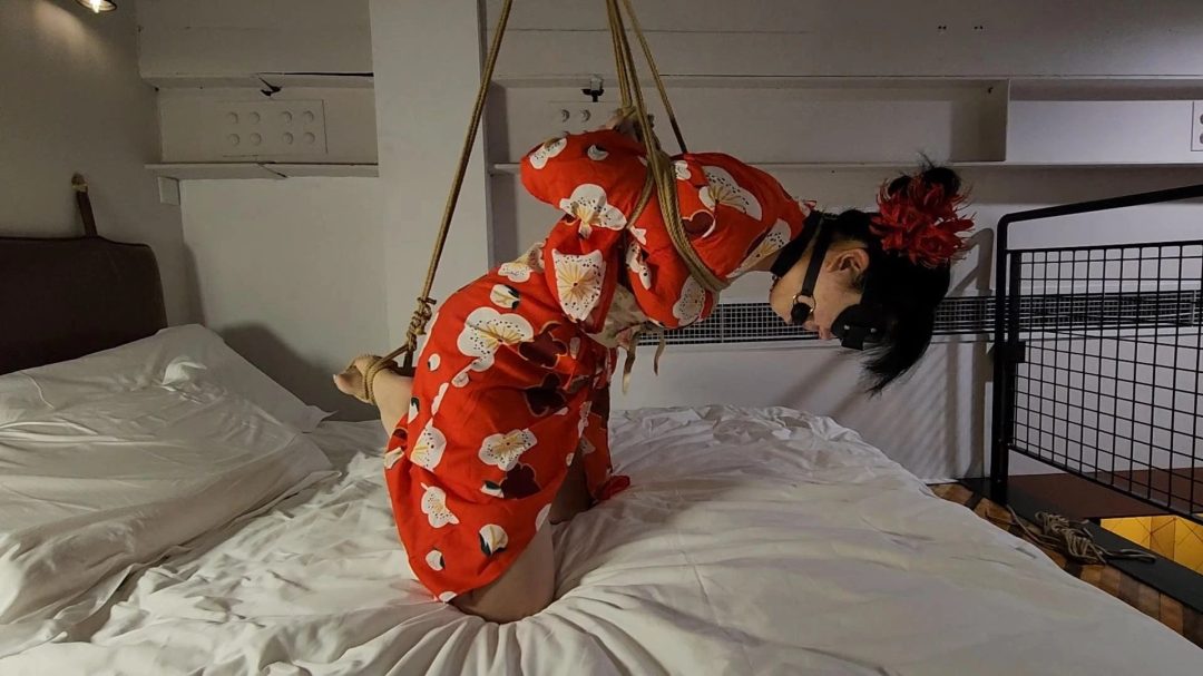 肉货-衣服挺好看-1
