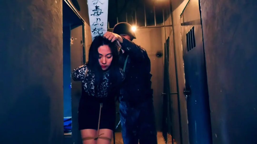四集法制连续剧《绞刑之下的死囚 》 第四集 两个美女被判处了死刑，被双双执行绞刑-6