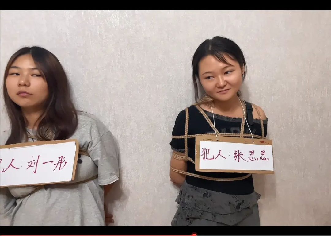 《罪红颜》两个诈骗犯 坑蒙拐骗 执行s刑 三种死法 令人胆寒到残酷。【定转公】-2 《罪红颜》两个诈骗犯 坑蒙拐骗 执行s刑 三种死法 令人胆寒到残酷。【定转公】-2