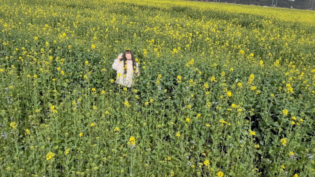春暖花开之际 油菜花如约而至 它跟你一样 善解人意 我喜欢风 它跟你一样-6