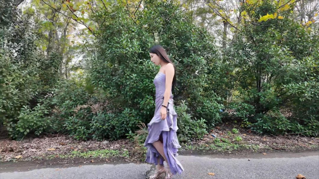 寻芳猎艳 第一集 紫礼服 肉丝-1