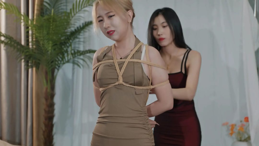 新模特小白-3