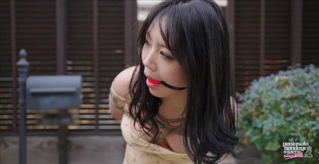 【波雅】家里进了蜜蜂-8