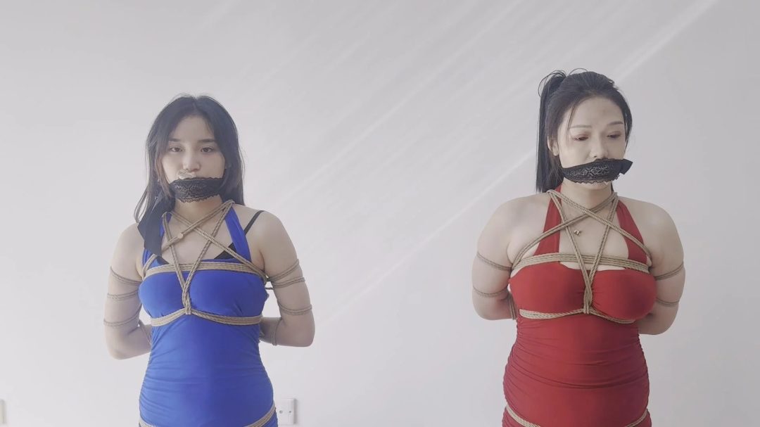金宝定制作品：《姐妹游戏2》中-3