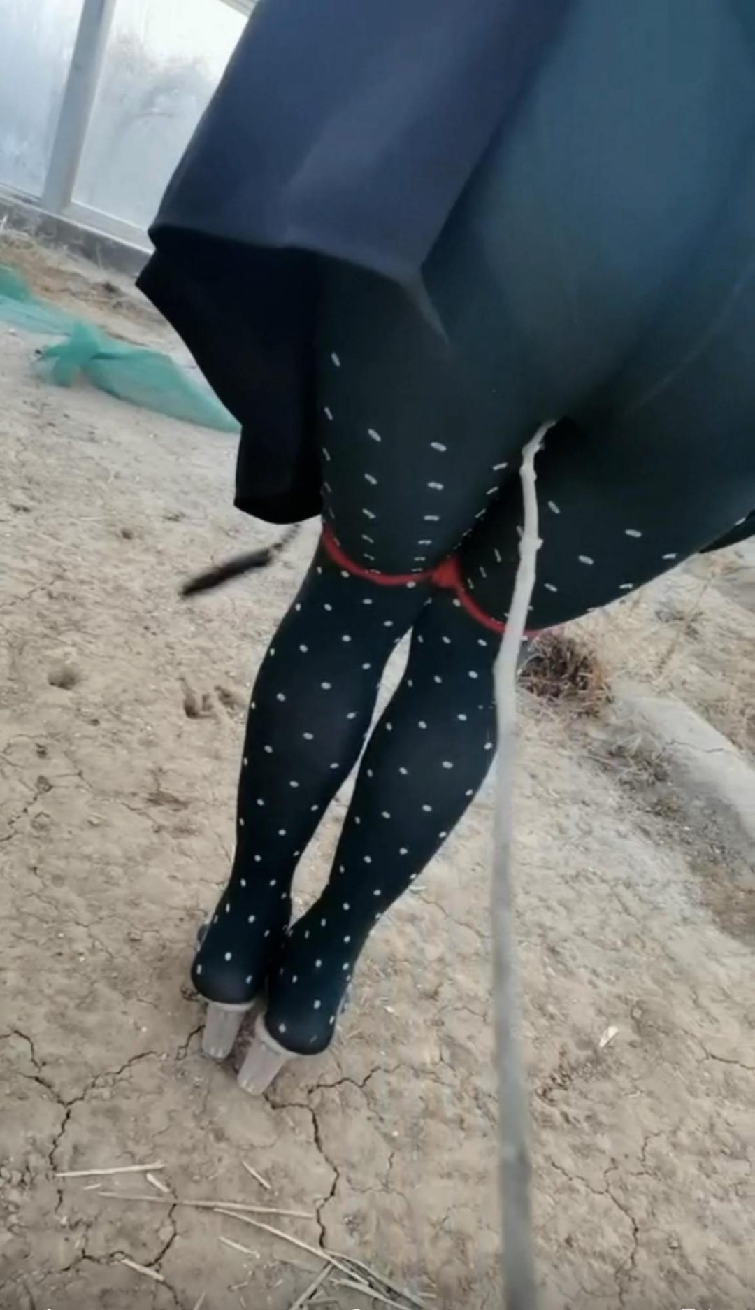阳光房第二部-3