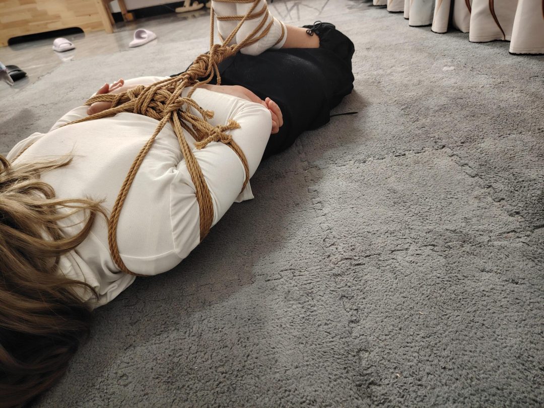 放置驷马(小玩具 放置 驷马)-4