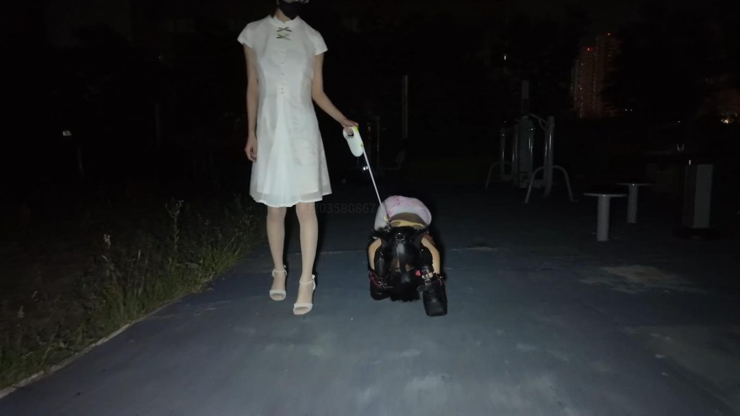 亲姐牵着被k9束缚的妹妹公园露出 少萝霜喵又是被姐姐梦婷tj了-1