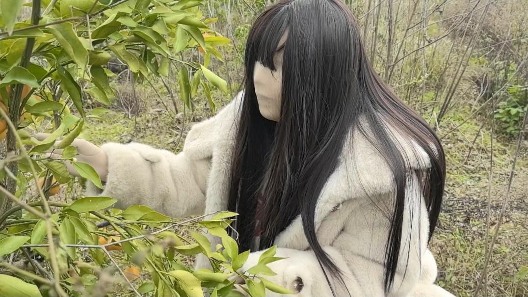 来摘橘子吗？漫山遍野的那种哦 免费的果园 跟着薅羊毛大军一起冲冲冲-3