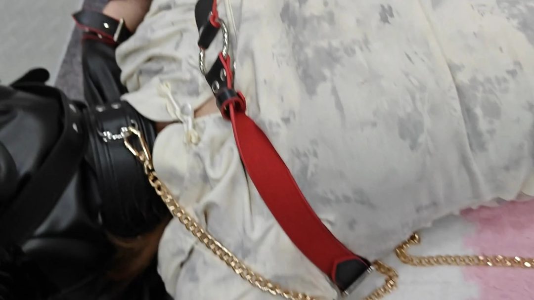 温婉妹子的k9头套体验 头套 股绳 项圈 tk-2