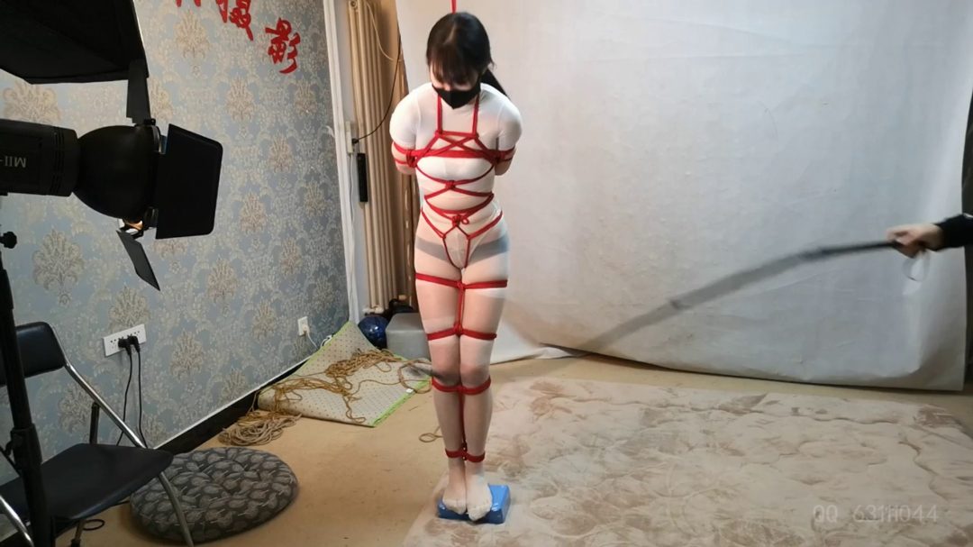 杨蕊 站在泡沫上的平衡训练 脚尖垫 鞭打 驷马匍匐-4