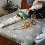 蕾姆绑架TK温迪被反杀全包