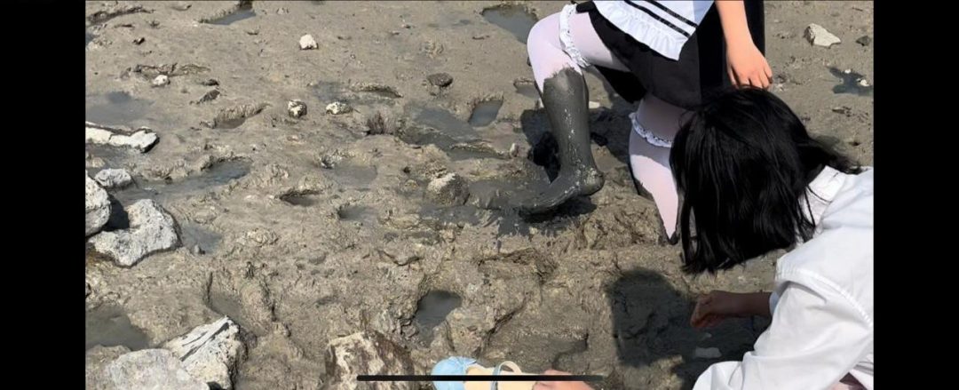 女仆装+jk 双人滩涂玩耍玩泥-8