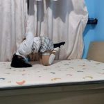 定拍 —— 16个小任务