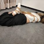 放置驷马(小玩具 放置 驷马)
