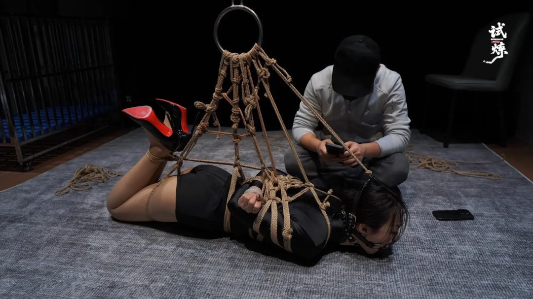 诺米驷马电TK-6