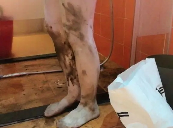 小樱jk白丝 污水洗澡 湿身诱惑 浑身脏臭-10
