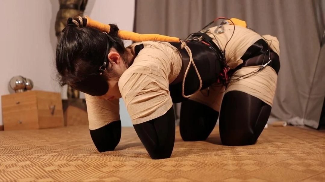 路由工作室：新模小月郊狼电控犬缚 工作室的黑科技升级了-6