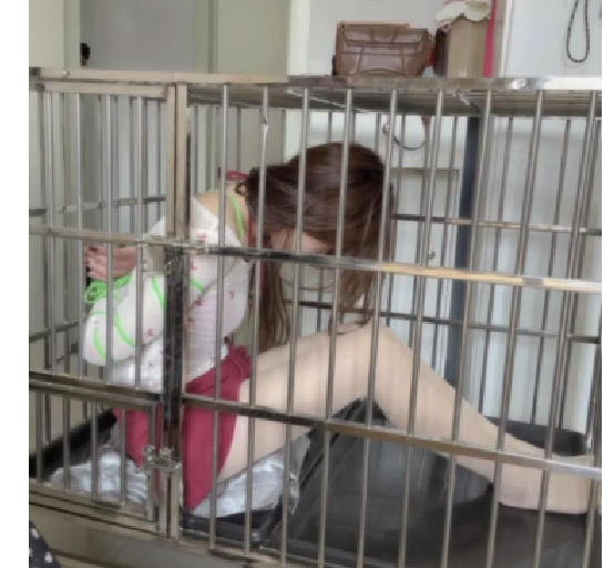 小姐姐绳艺笼子初体验-1