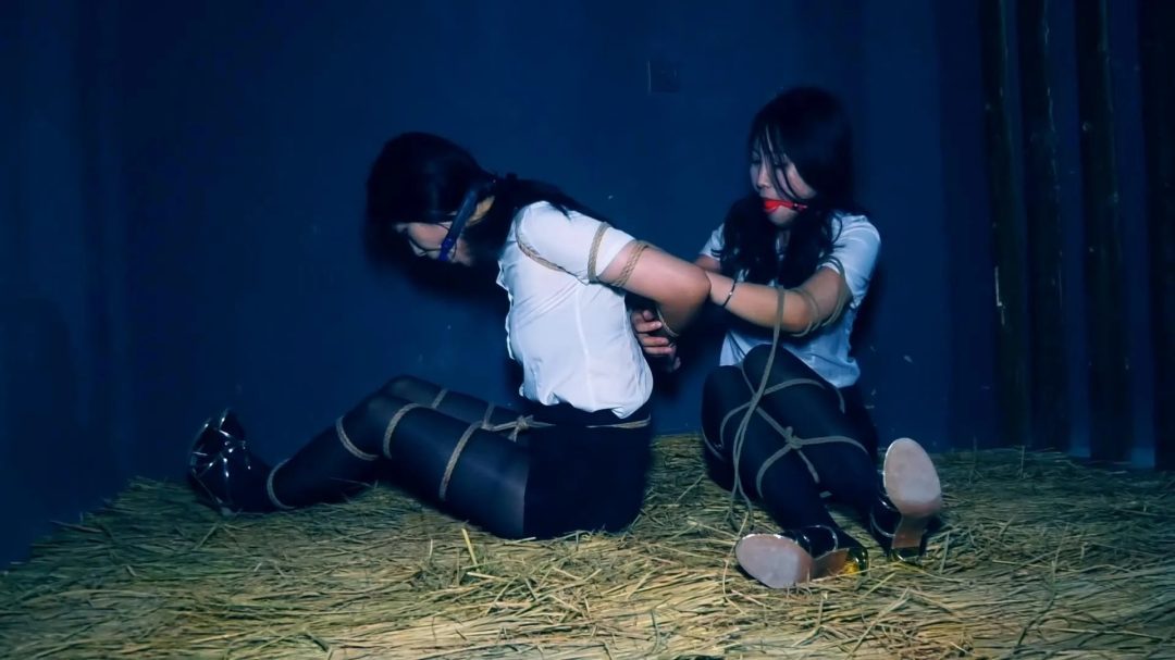定拍转公映《双花卧底 》 第二集 两美女秘书在押往总部时候路上逃跑可惜又被抓回来-8