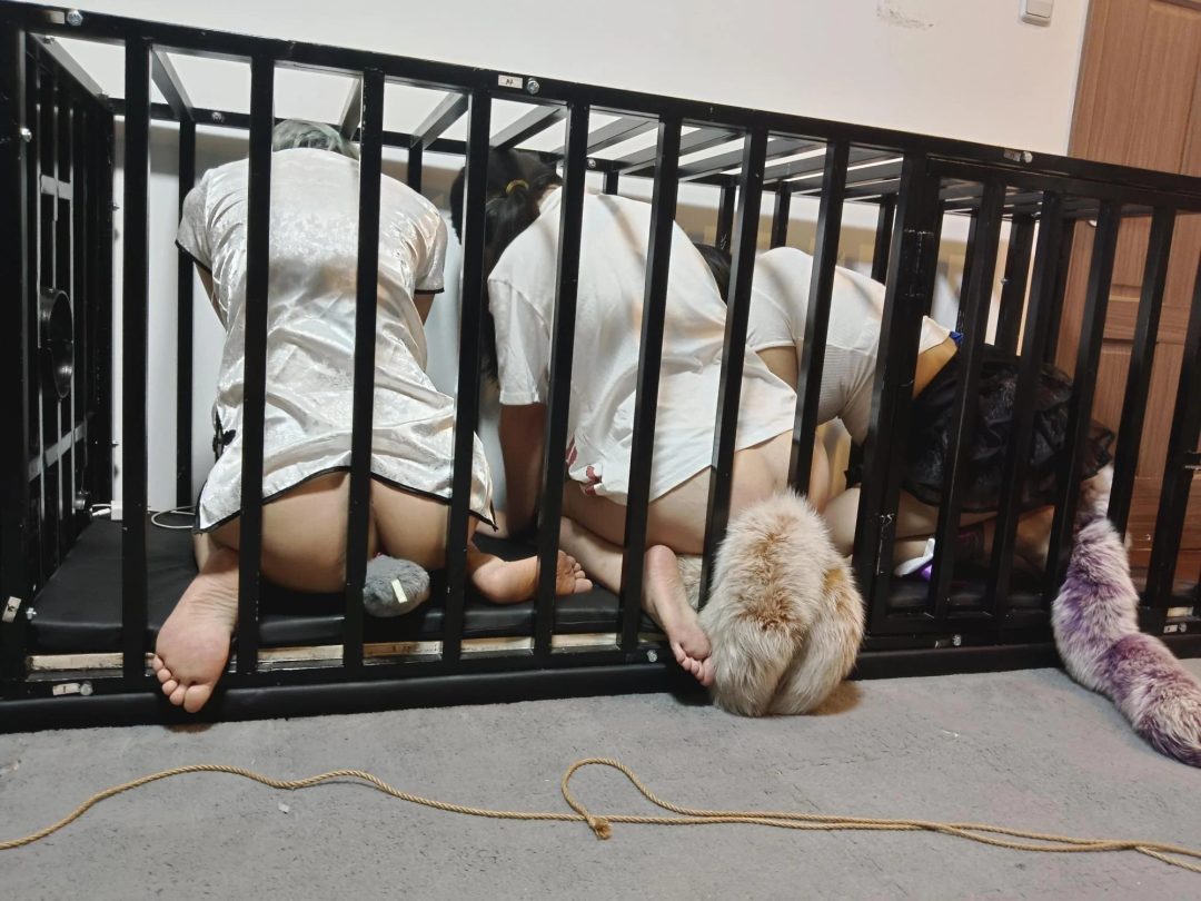 带尾巴之犬化训练-1