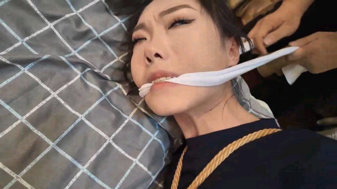 独闯虎穴（下）-3