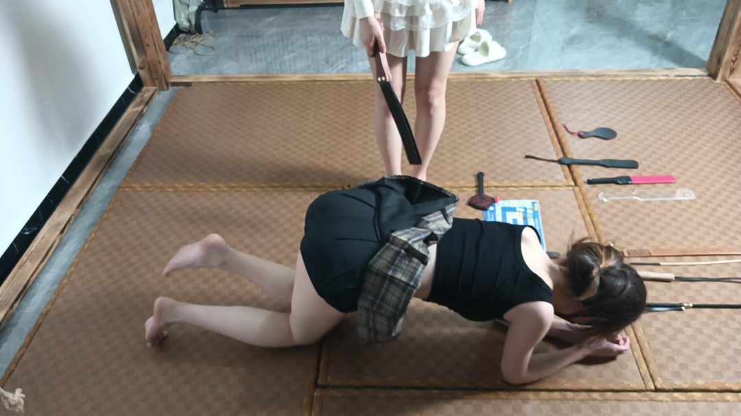 飞行棋SP版本（双女。游戏类型，恶趣味，惩罚）-4