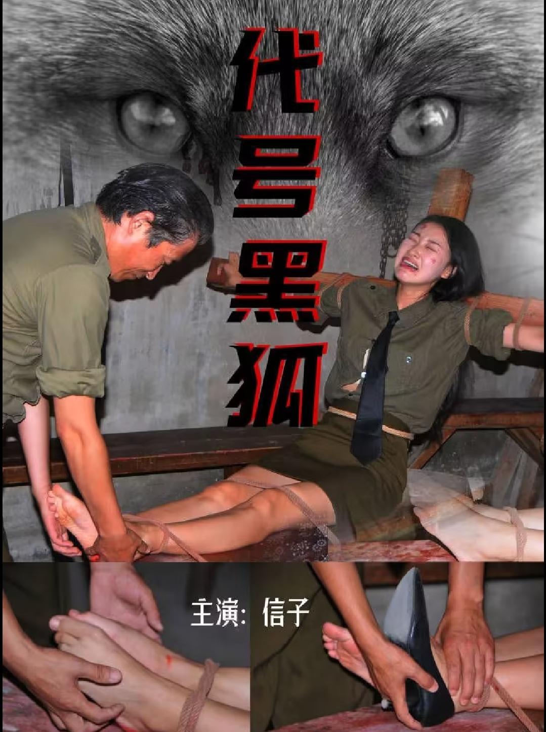 怀旧影视代号黑狐-1