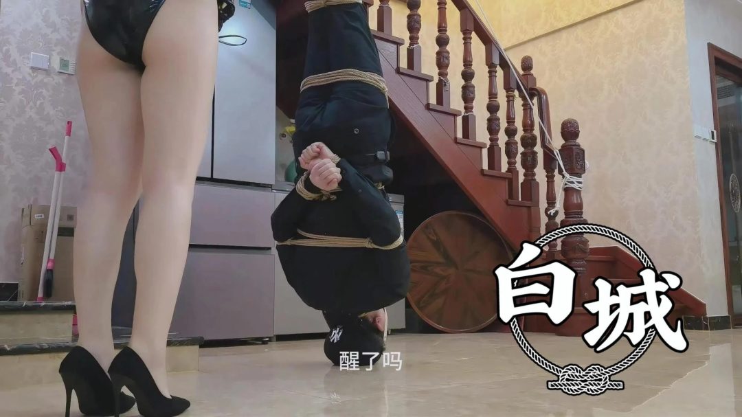 【白城出品】《孤注一掷II》(中集)-9 【白城出品】《孤注一掷II》(中集)-9