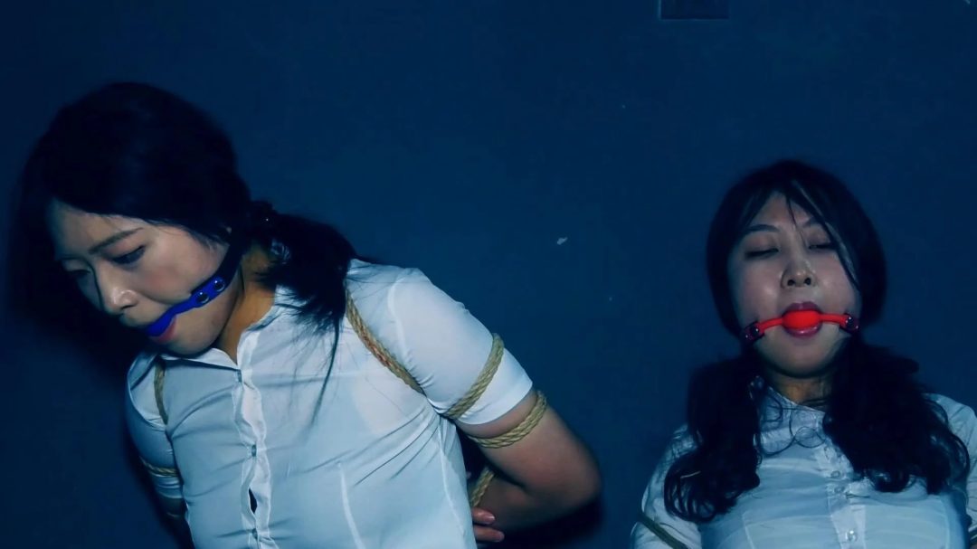 定拍转公映《双花卧底 》 第二集 两美女秘书在押往总部时候路上逃跑可惜又被抓回来-9