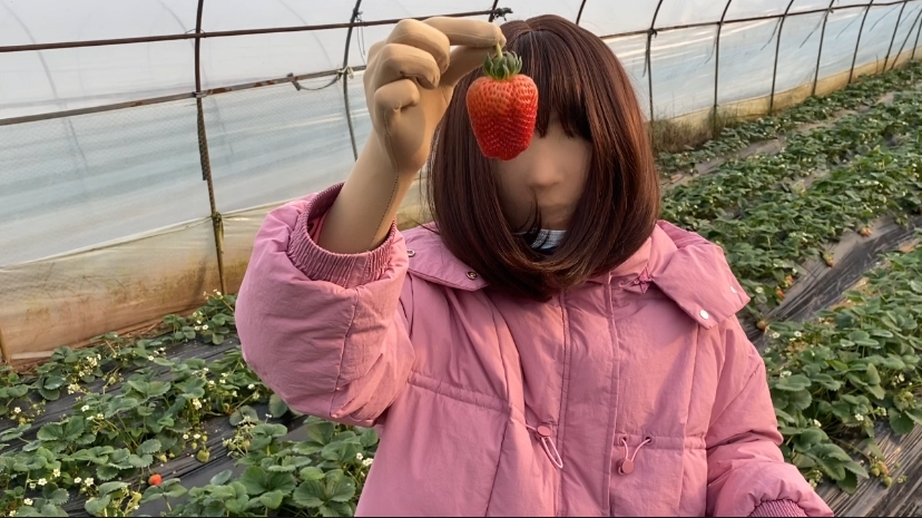 继爱姬老前辈后。咱们也穿着zentai全包去草莓采摘园了~走另类的路线，展示个人的风采，不为别人的言论和目光所活-1