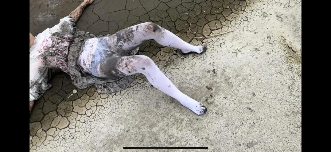 甜lo白丝臭水沟打滚调教 无惧路人-9
