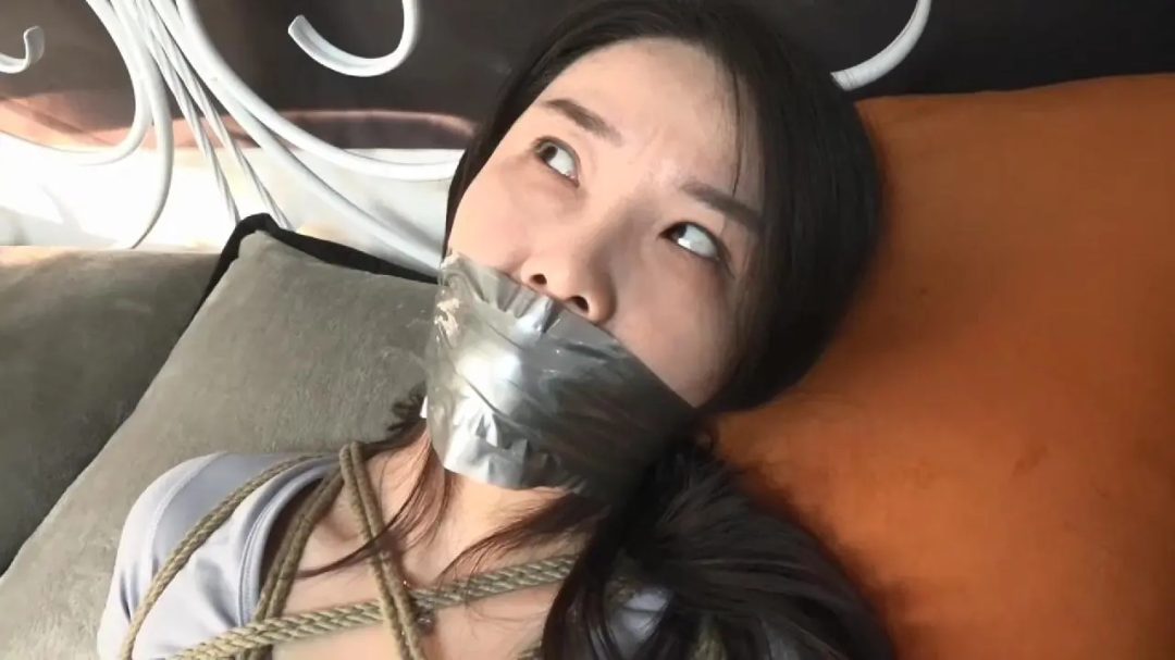 风云01 一场别有用心的绑架案-4 风云01 一场别有用心的绑架案-4