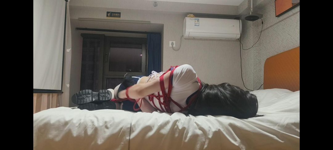 伪娘体操服挣扎 捂晕 蒙眼 伪娘 体操服-5