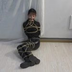 菜鸟刑讯师与美女怪盗全集发售