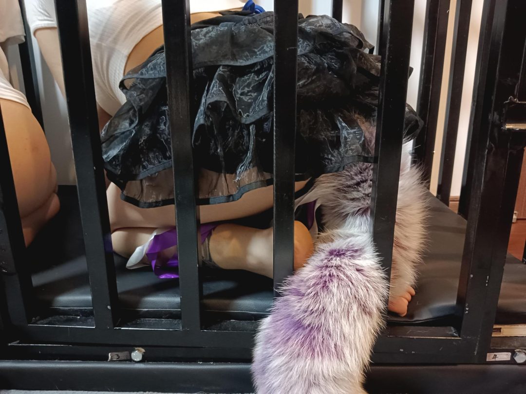 带尾巴之犬化训练-7
