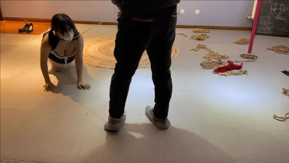 狗奴回家-1